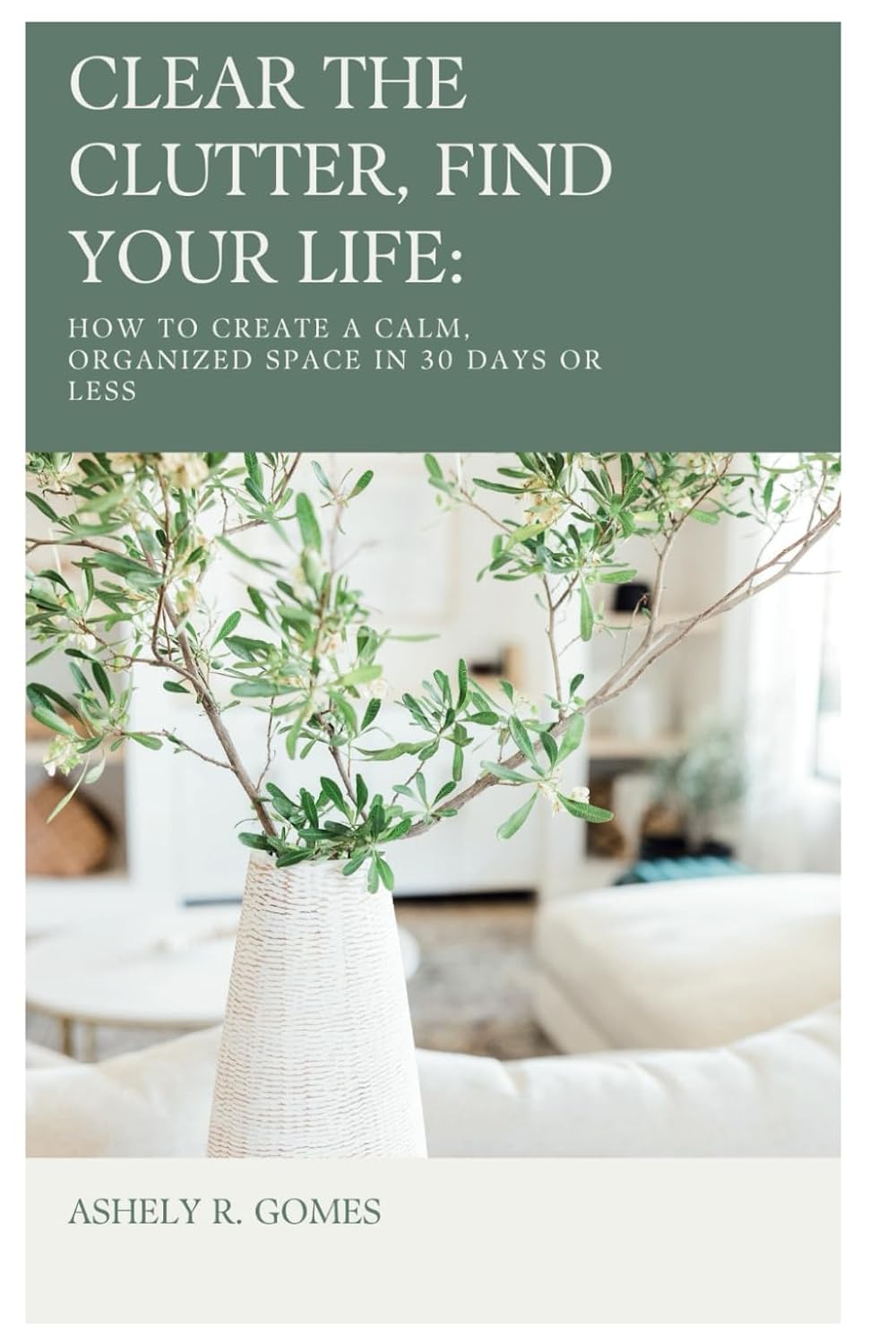 CLEAR THE CLUTTER, FIND YOUR LIFE: HOW TO CREATE A CALM, ORGANIZED SPACE IN 30 DAYS OR LESS baixar livro de graça