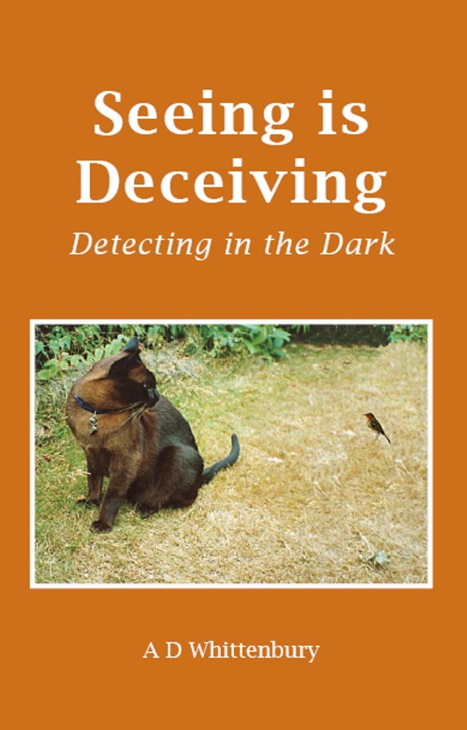 ler totalmente Seeing is Deceiving: Detecting in the Dark (English Edition)