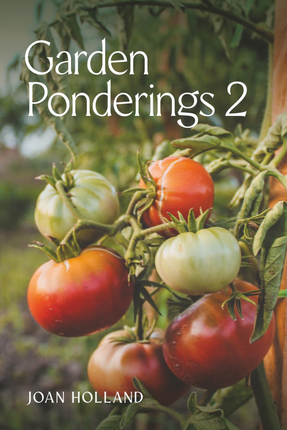 capítulo por capítulo baixar Garden Ponderings 2
