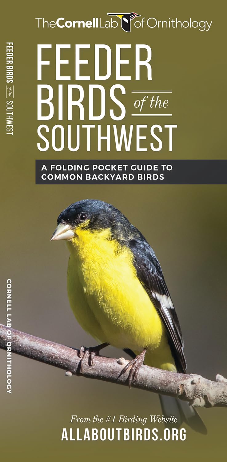 Feeder Birds of the Southwest: A Folding Pocket Guide to Common Backyard Birds baixar o livro de graça