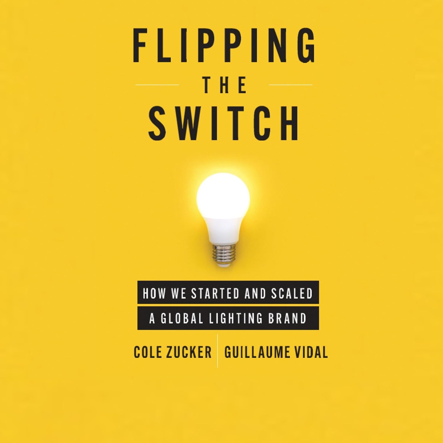 Flipping the Switch: How We Started and Scaled a Global Lighting Brand baixar o livro de graça