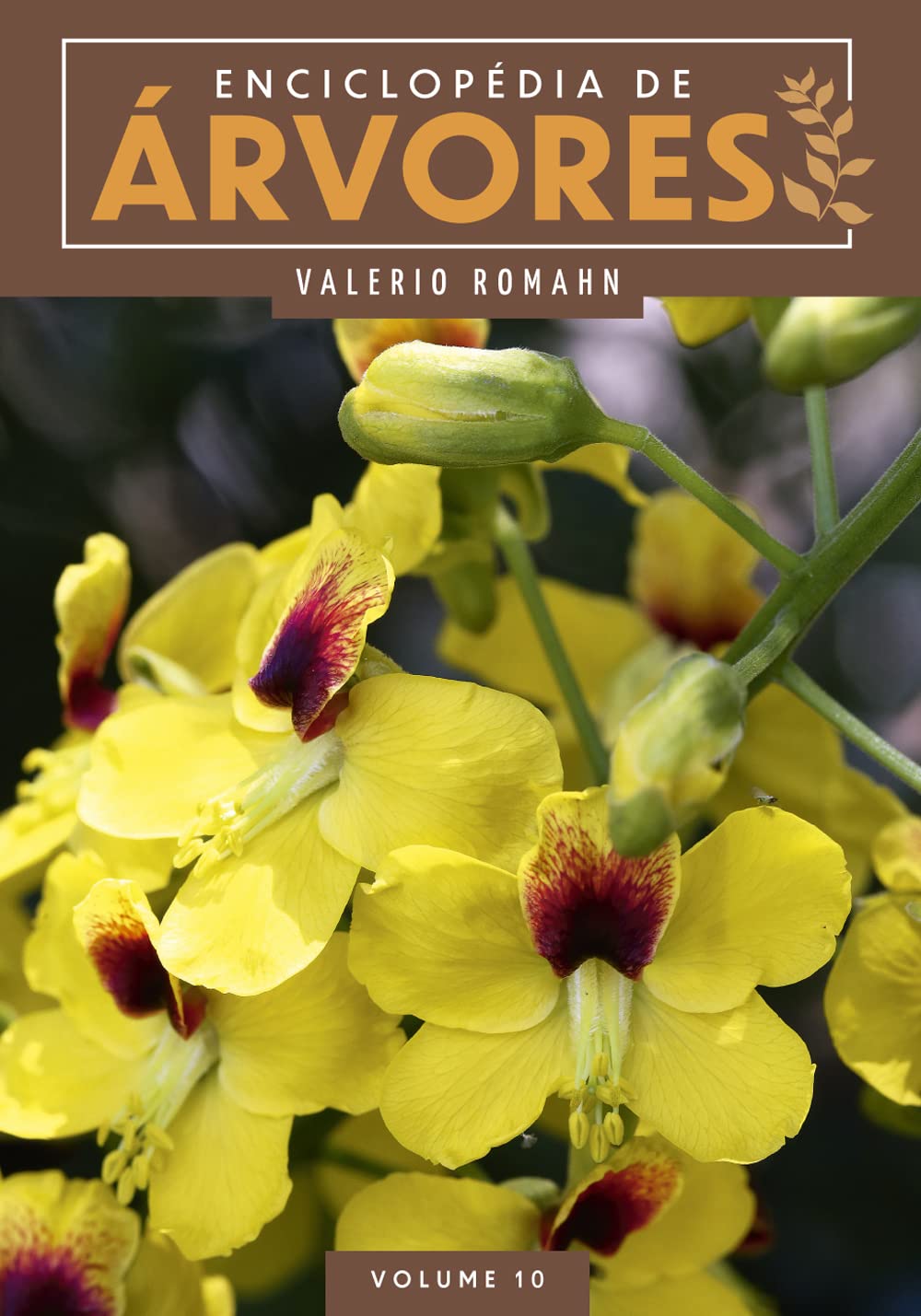 Enciclopédia de Árvores - Volume 10 baixar o livro de graça