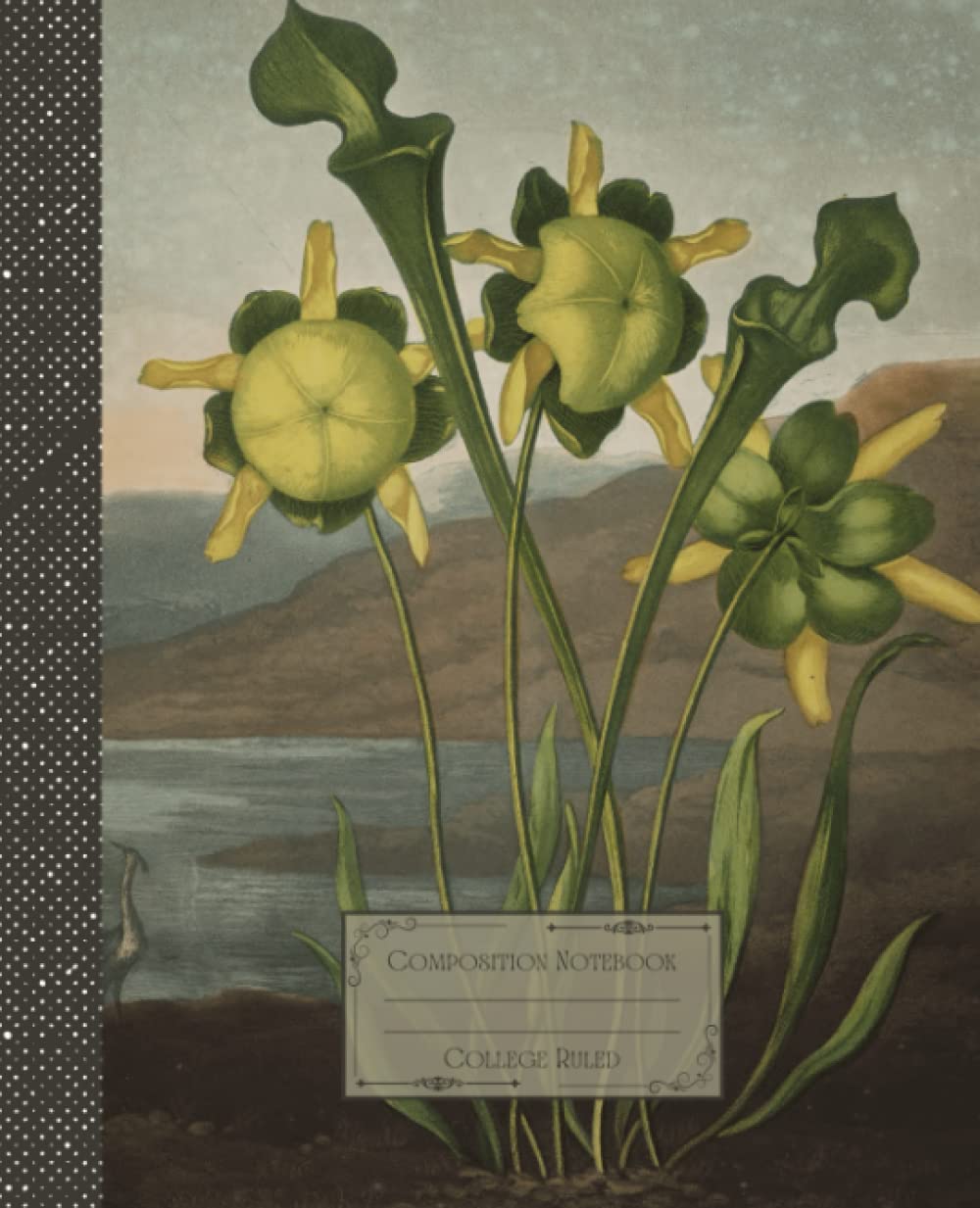 Vintage Flower Composition Notebook College Ruled: Antique Botanical Flower Illustration | Classic Composition Notebook for Writing and Journaling |... for College Students, School and Work. baixar livro de graça