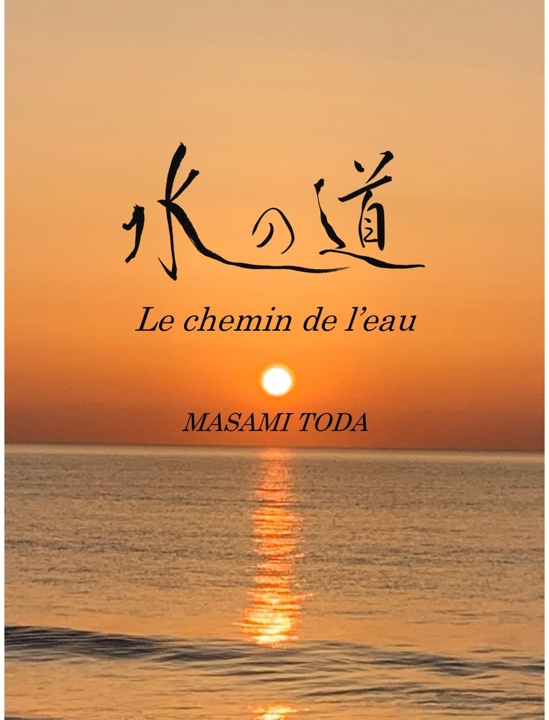 Le Chemin de l’Eau (French Edition) baixar o livro de graça