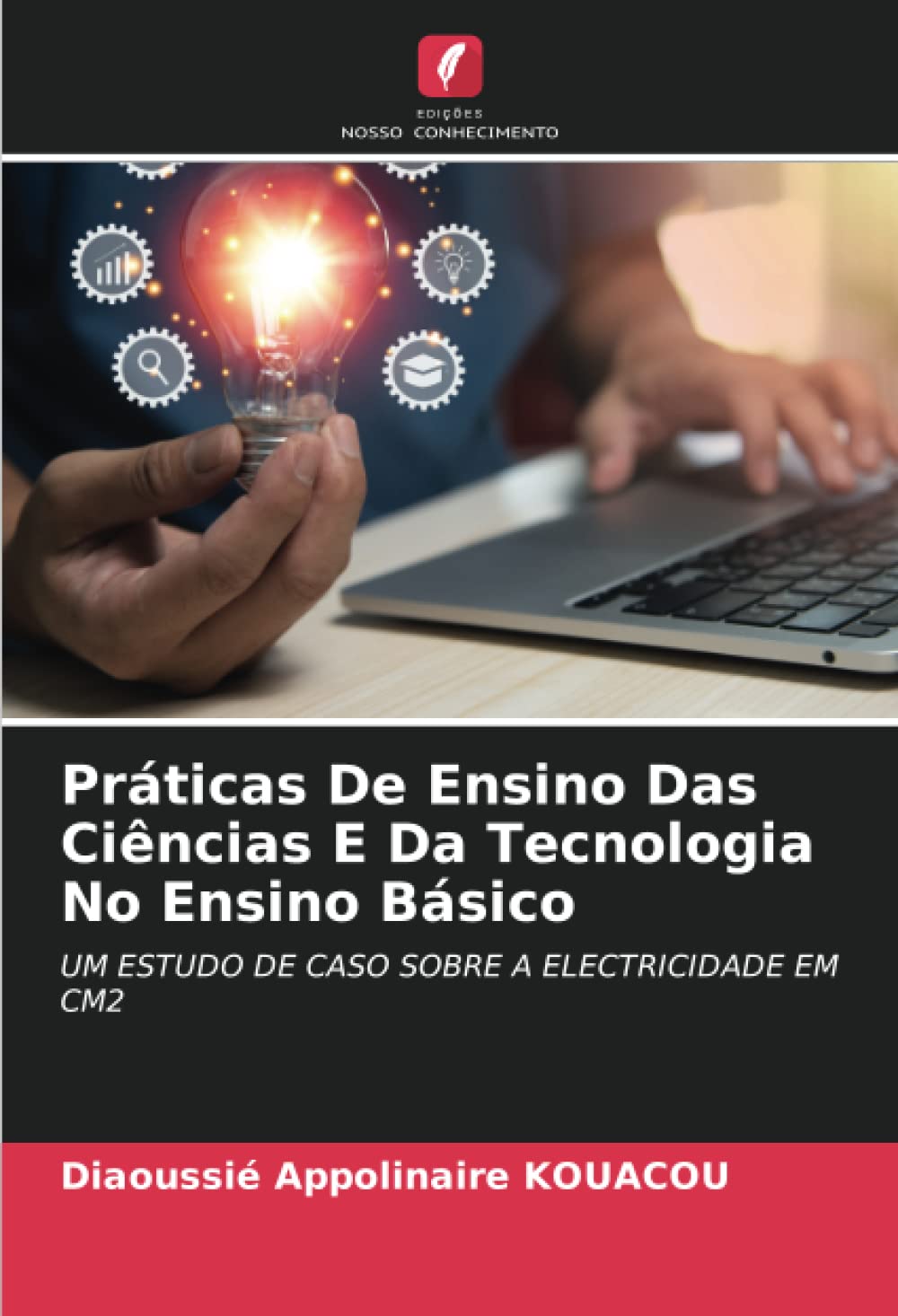 Práticas De Ensino Das Ciências E Da Tecnologia No Ensino Básico baixar livro de graça