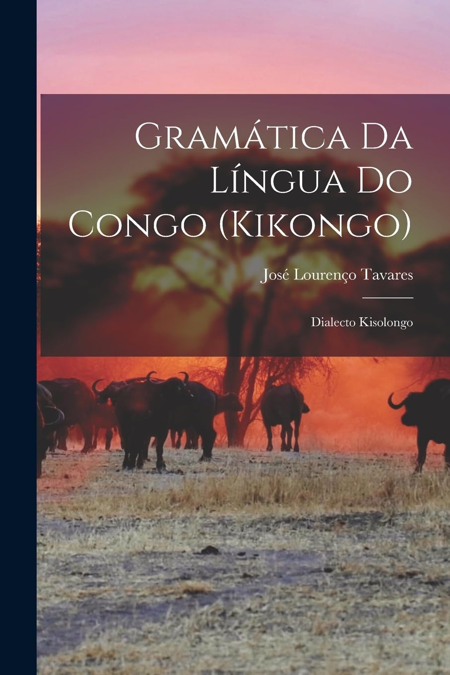 Gramática da língua do Congo (kikongo); dialecto kisolongo