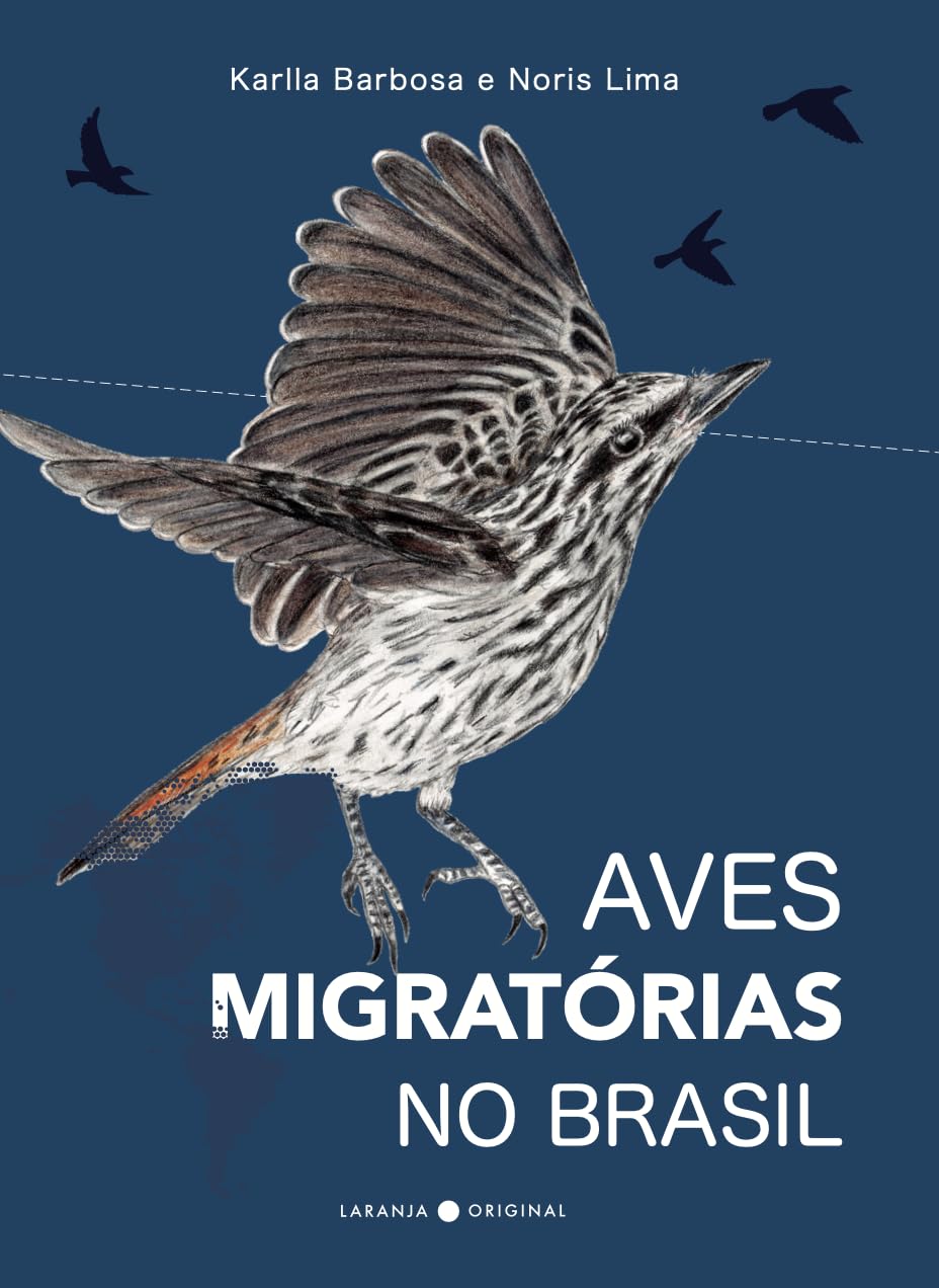 Aves migratórias no Brasil