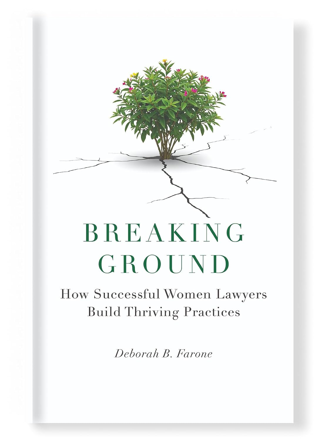 Breaking Ground: How Successful Women Lawyers Build Thriving Practices (English Edition)