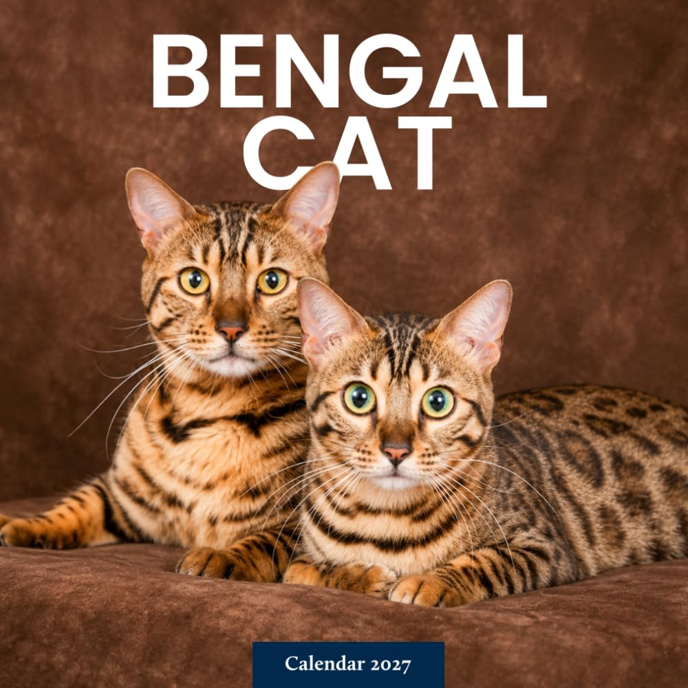 capítulo por capítulo baixar Bengal Cats Calendar 2027: Spotted Cat Photography