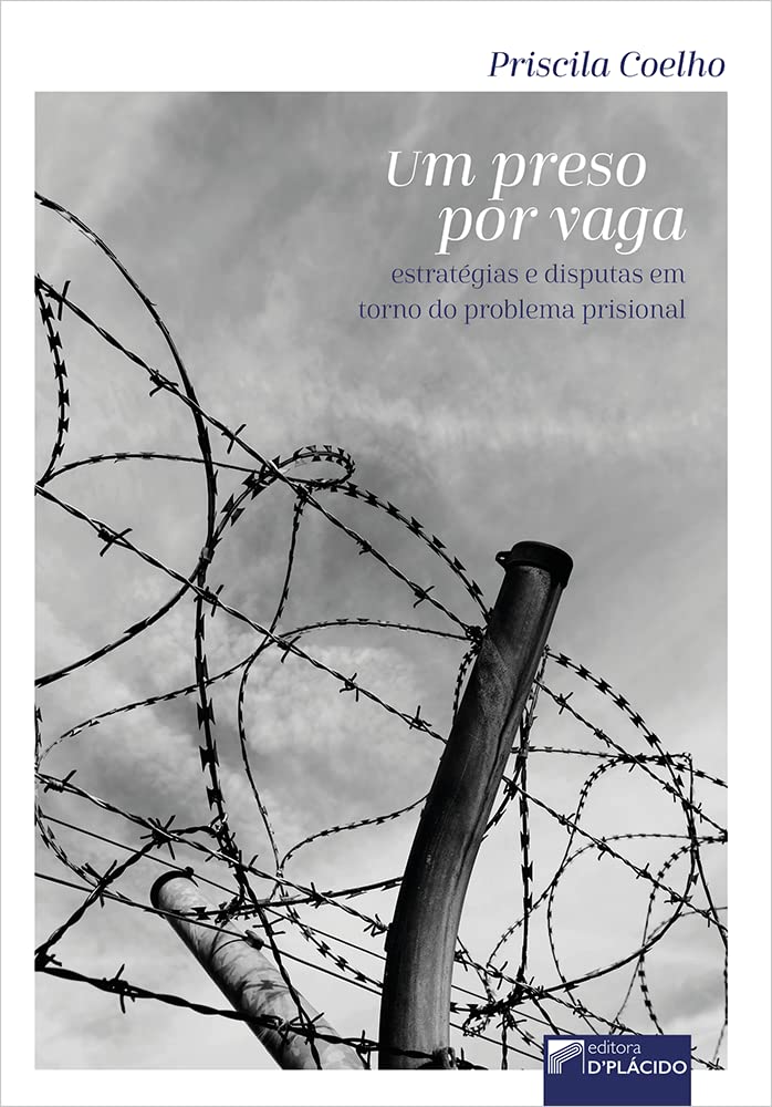 Um Preso por Vaga: Estratégias e Disputas em Torno do Problema Prisional