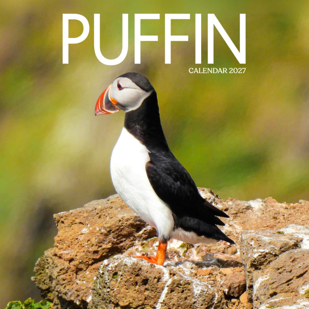 Puffin Calendar 2027: Coastal Birds and Seaside Scenes baixar livro de graça