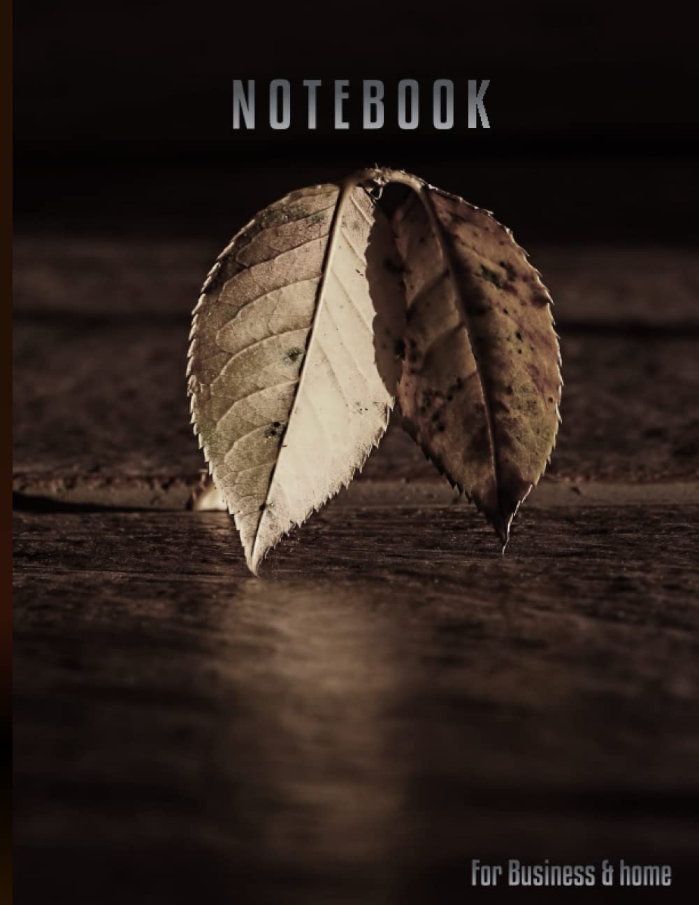 capítulo por capítulo baixar Notebook: Notebook tracker for small business and home