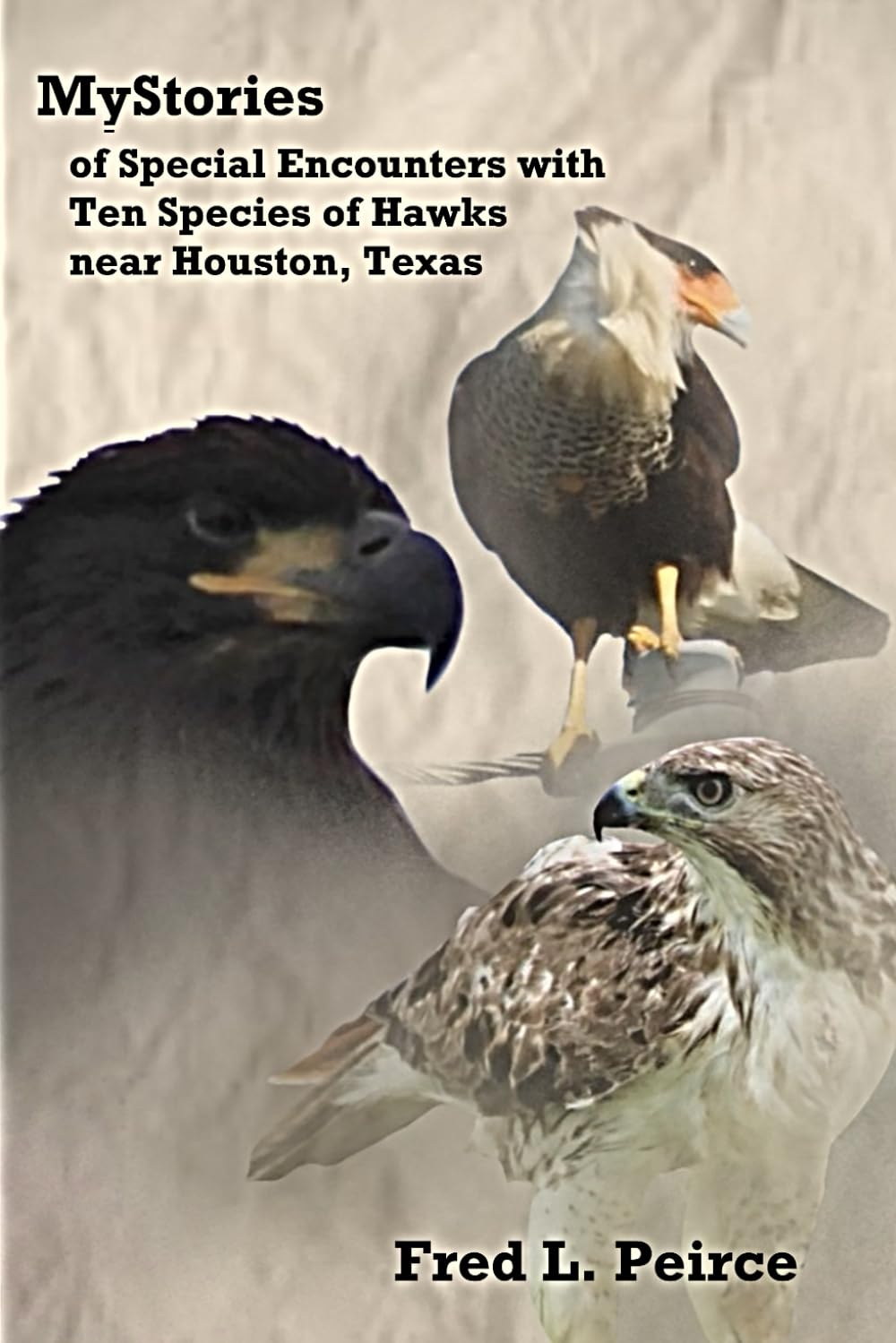 ler totalmente MyStories of Special Encounters with Ten Species of Hawks near Houston, Texas: A Journey into a World of Hawking (MyStories of Hawks near Houston, Texas)