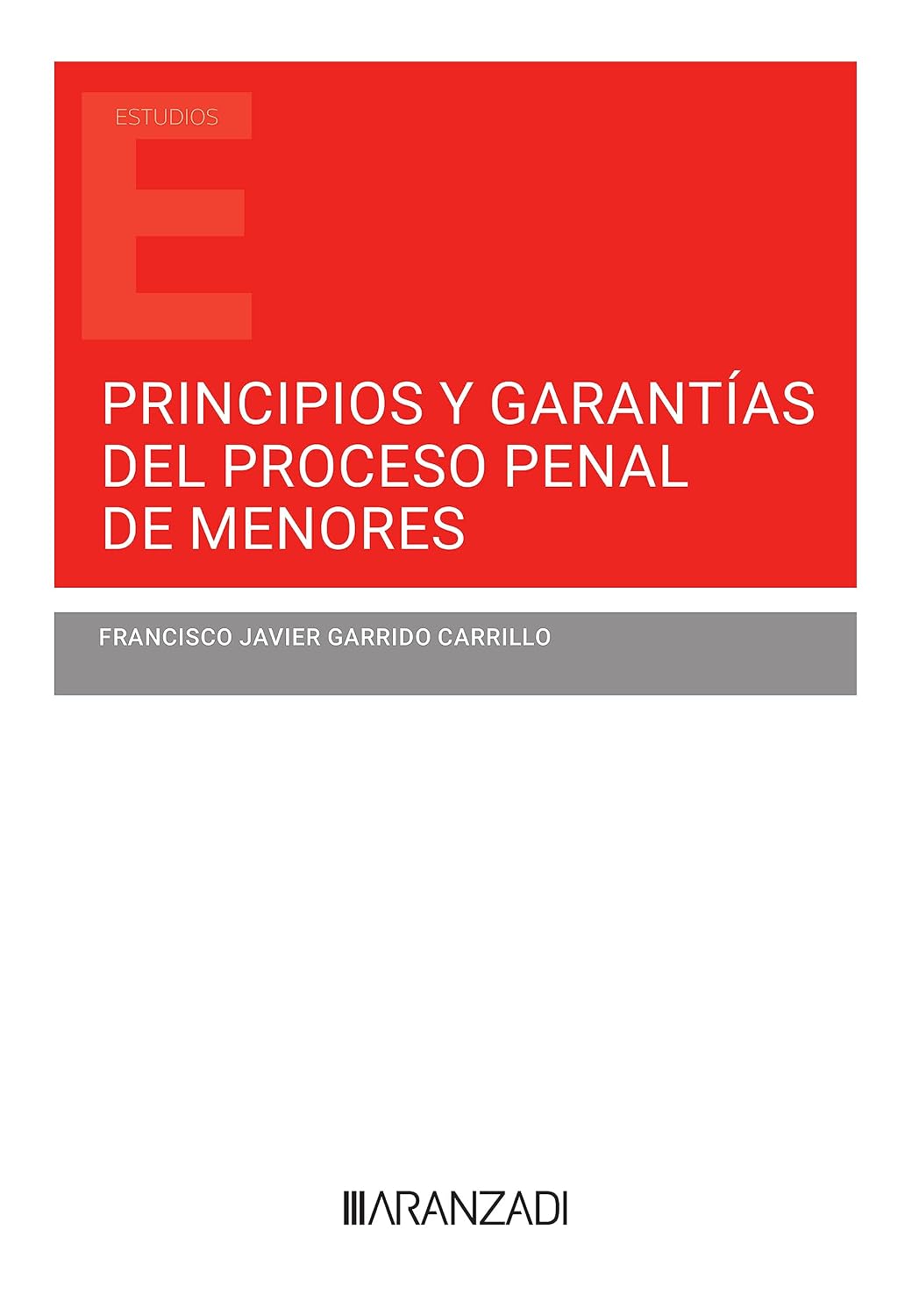 Principios y garantías del proceso penal de menores (Estudios) (Spanish Edition) baixar livro de graça