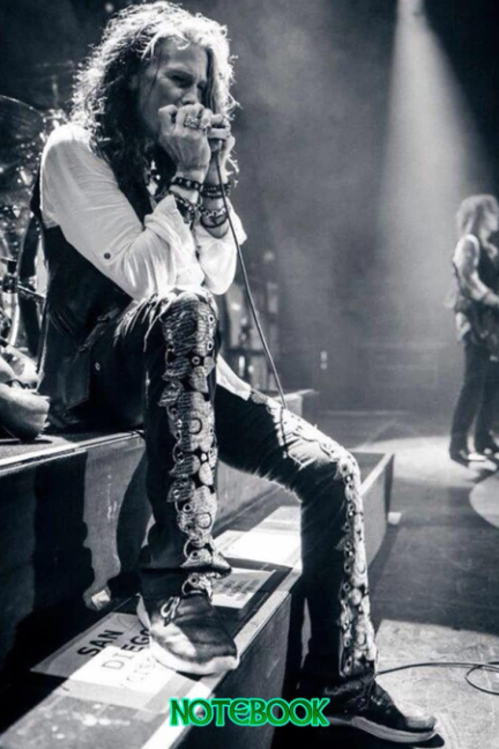 ler totalmente Notebook: Steven Tyler Notebook for Writing, Thankgiving Notebook Diary, Perfect Present for Fans #561