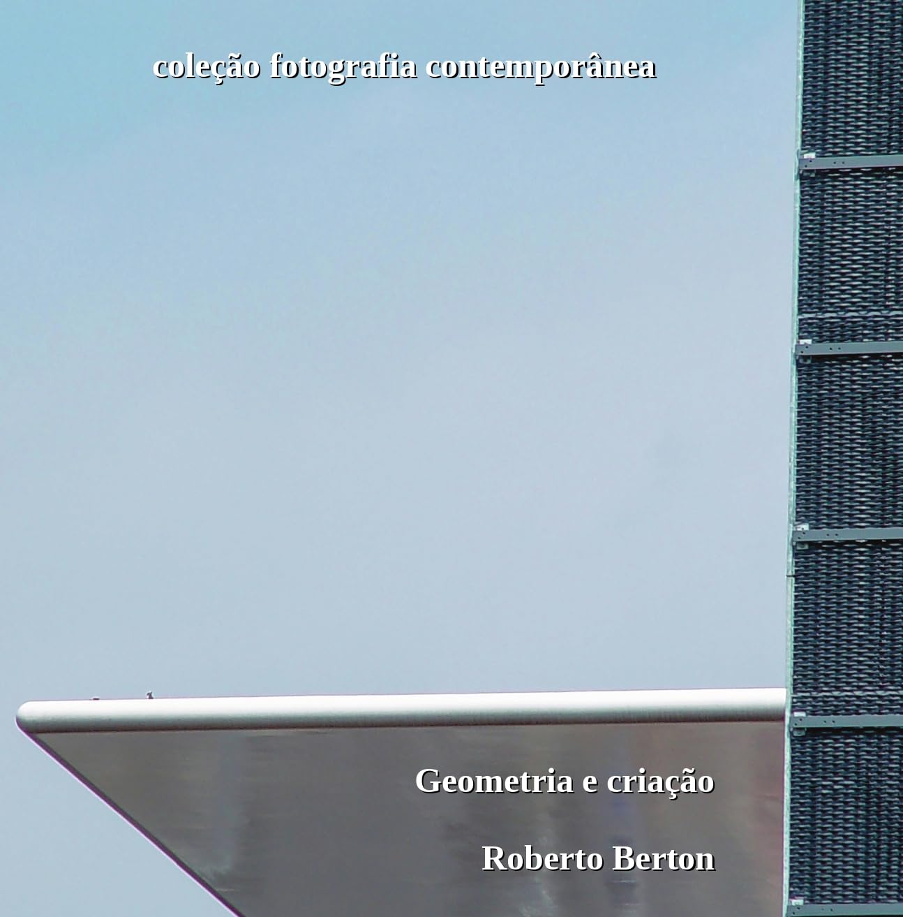 ler totalmente Geometria e criação (Coleção Fotografia Contemporânea)