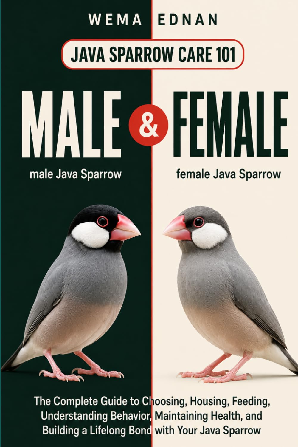 Java Sparrow Care 101: The Complete Guide to Choosing, Housing, Feeding, Understanding Behavior, Maintaining Health, and Building a Lifelong Bond with Your Java Sparrow baixar o livro de graça