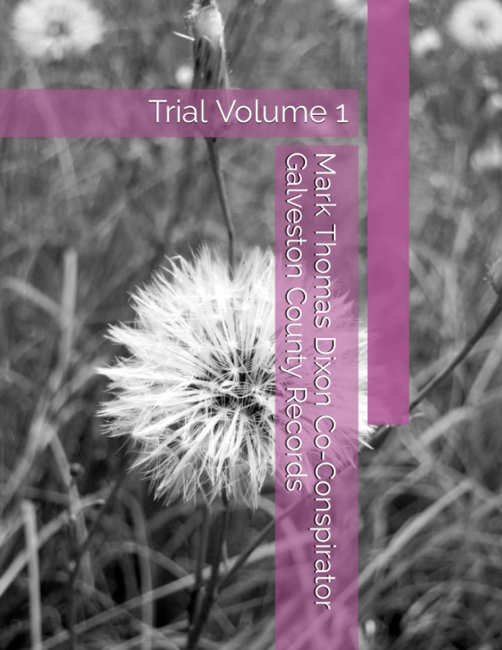 Mark Thomas Dixon Co-Conspirator Galveston County Records: Trial Volume 1 (Barbara Holder Trial Records) baixar o livro de graça