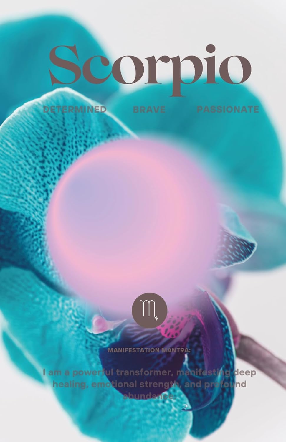 Zodiac Daily Planner: Scorpio baixar livro de graça