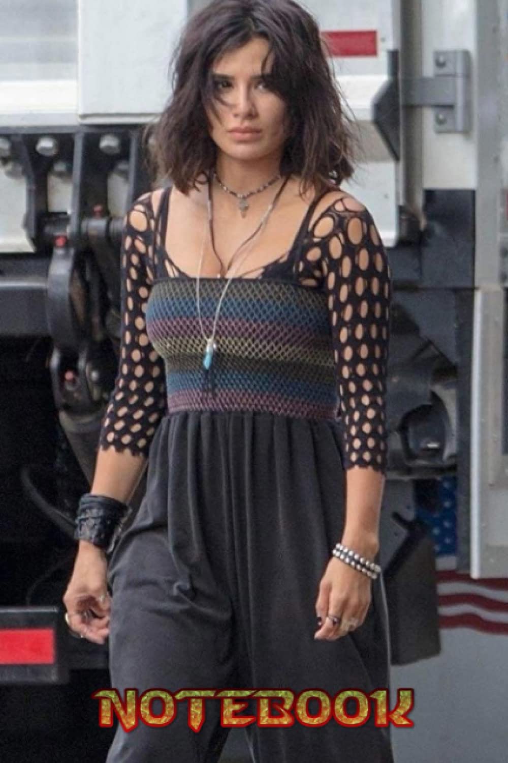 Notebook: Diane Guerrero Notebook - 100 page lined notebook, Thankgiving Notebook, journal: School, work, college #183 baixar o livro de graça