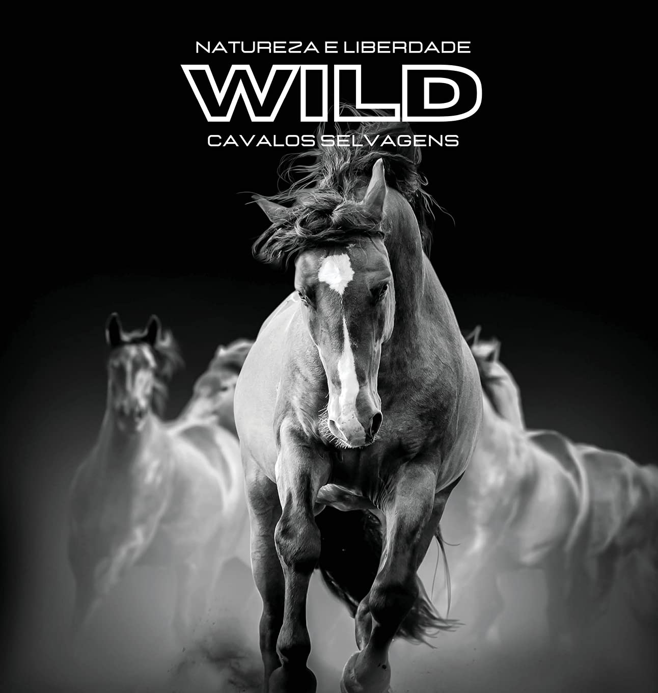 Natureza e Liberdade WILD Cavalos selvagens: Álbum de fotografias a cores. Ideia de prenda para os amantes dos animais e da natureza. Livro fotográfico com tema de cavalo. baixar o livro de graça