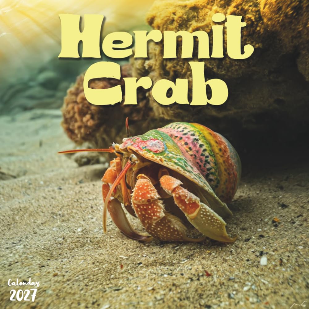 Hermit Crab 2027 Calendar: 12 Months of Coastal Crustaceans and Shells baixar livro de graça