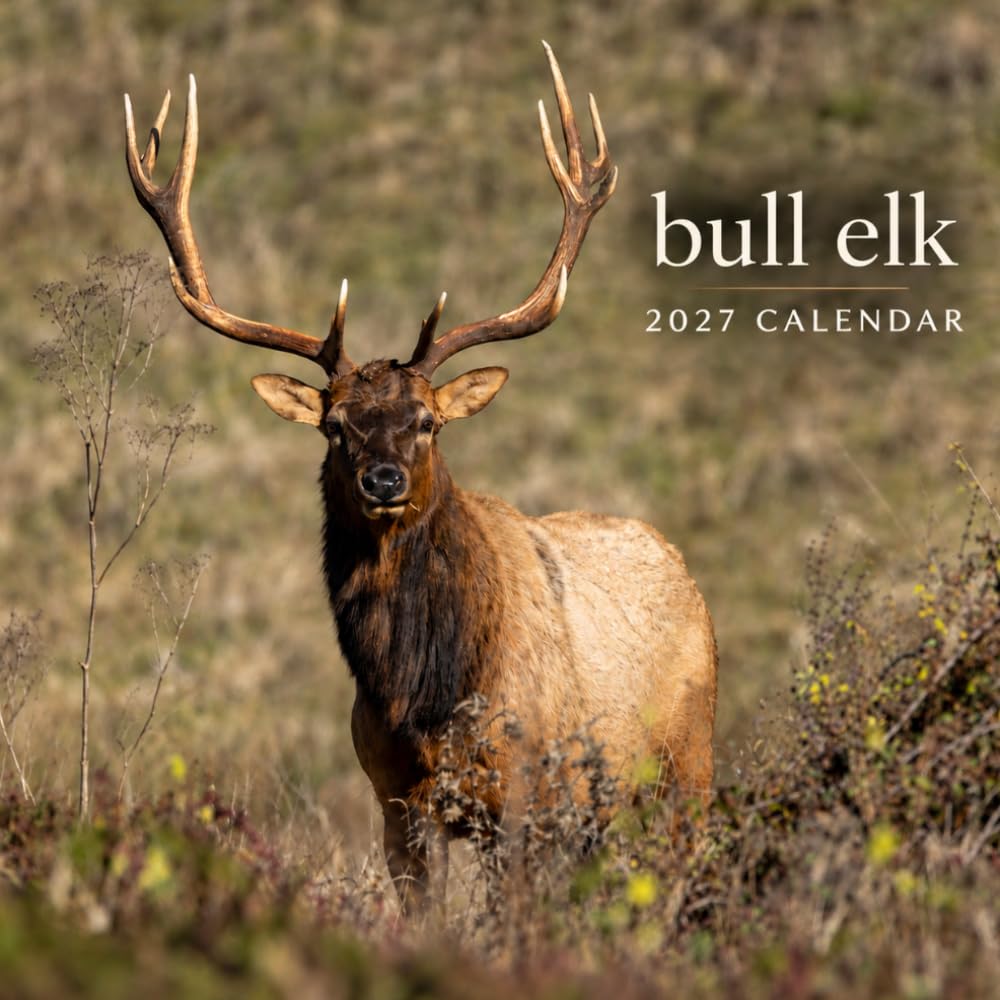 capítulo por capítulo baixar Bull Elk Calendar 2027: Antlered Wildlife Photography