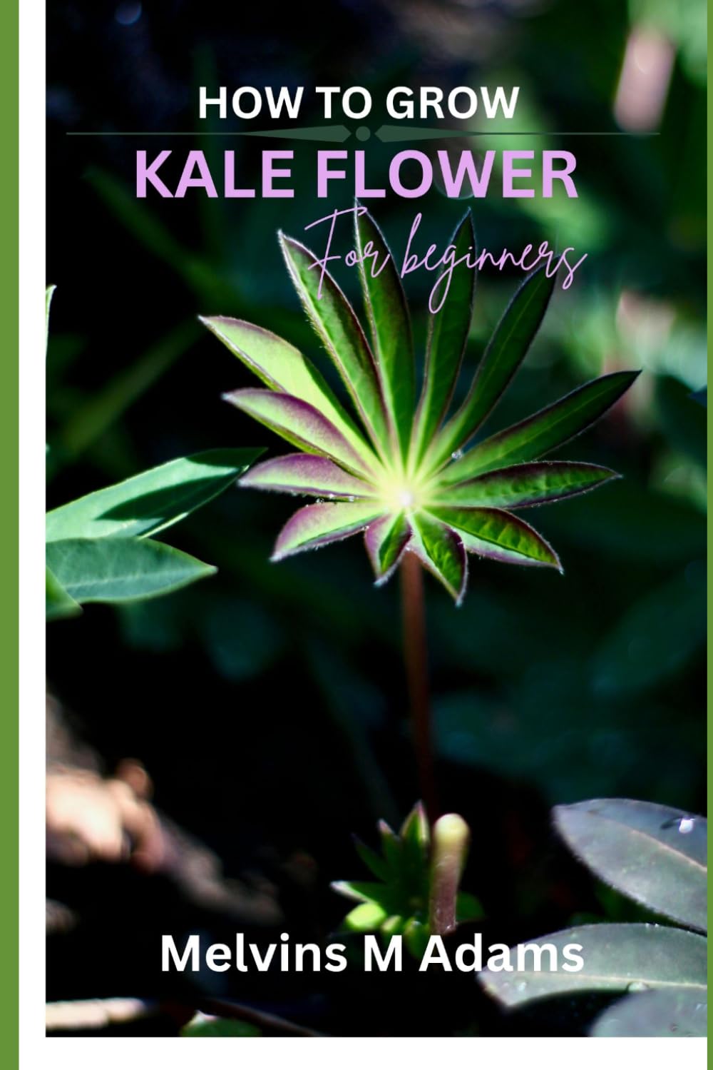 capítulo por capítulo baixar How to grow kale flowers for beginners: The Ultimate Beginner's Guide to Growing, Caring for, and Harvesting Stunning kale at Home and garden
