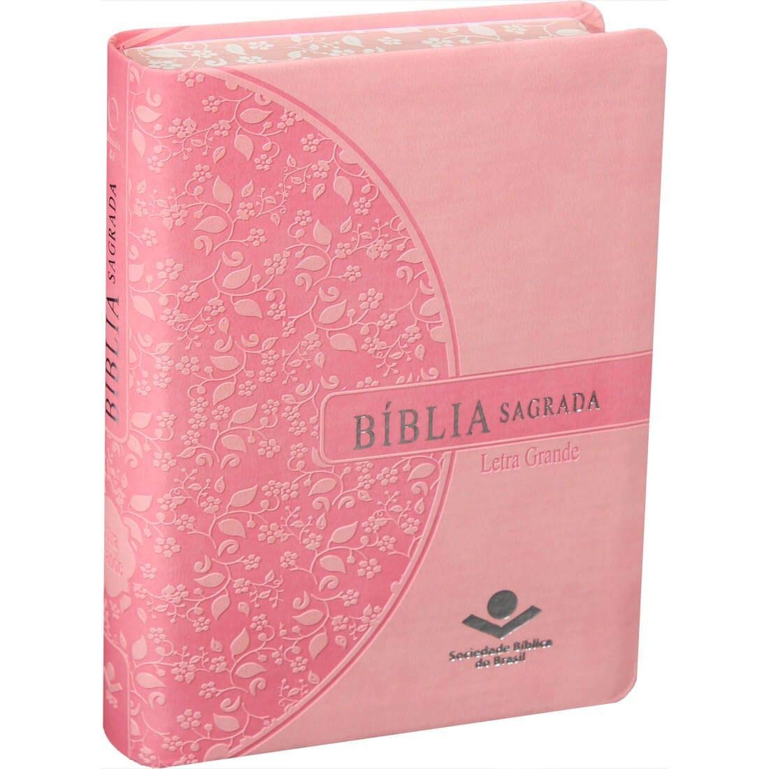 Bíblia Sagrada RA Pequena Letra Grande C/ Borda Florida - Rosa baixar o livro de graça