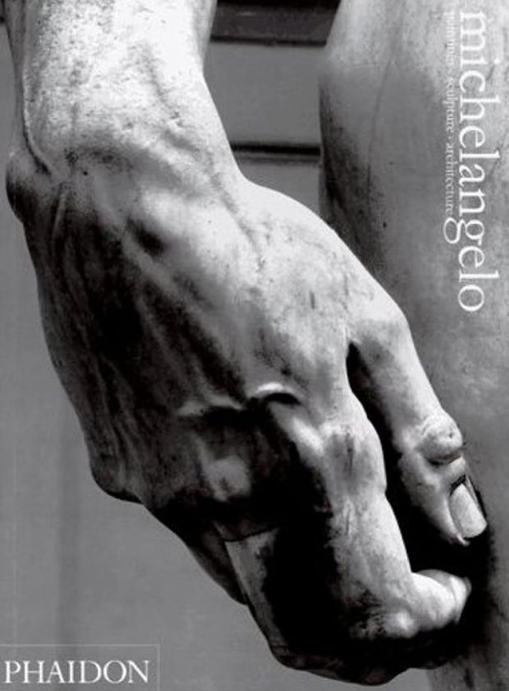 capítulo por capítulo baixar Michelangelo: Paintings, Sculpture, Architecture