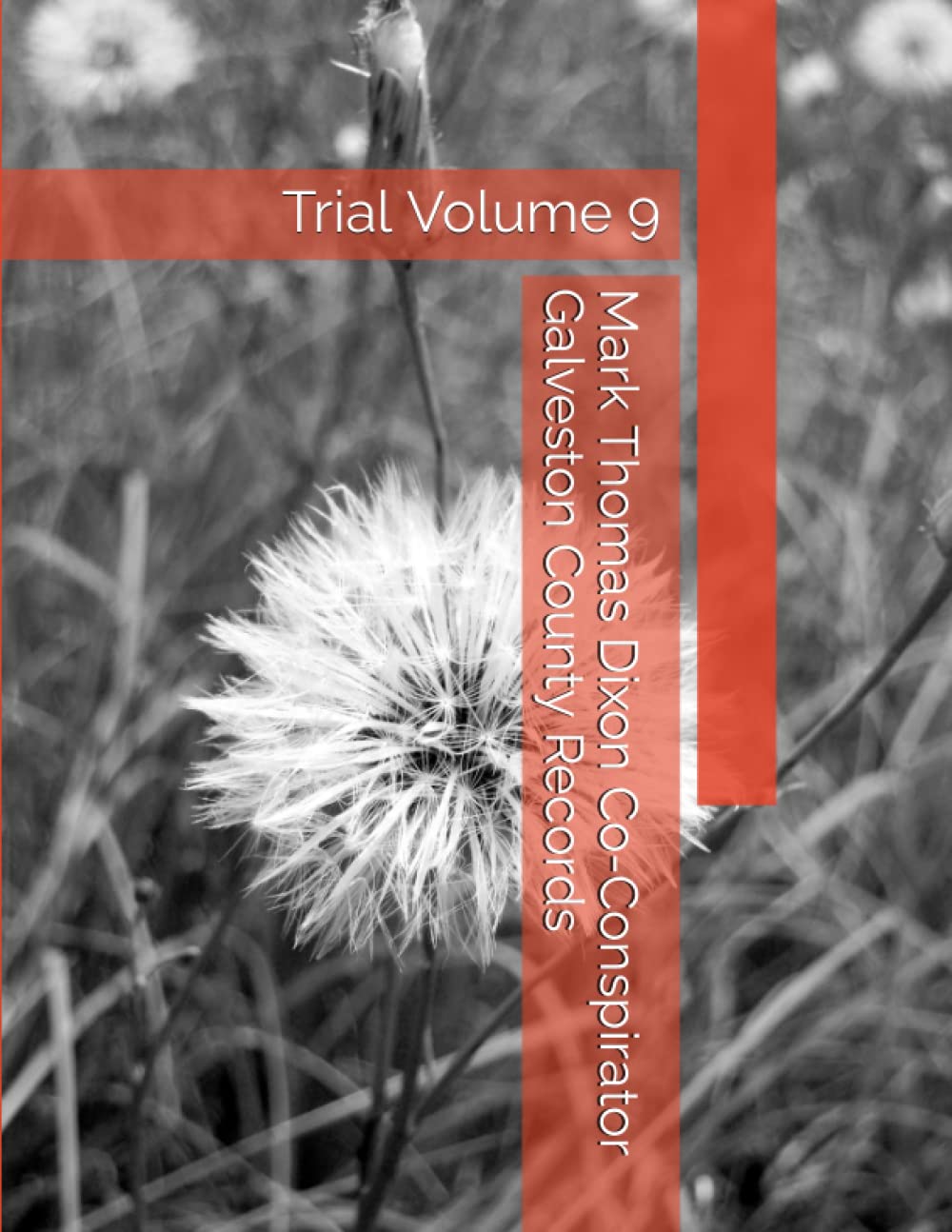Mark Thomas Dixon Co-Conspirator Galveston County Records: Trial Volume 9 (Barbara Holder Trial Records) baixar livro de graça