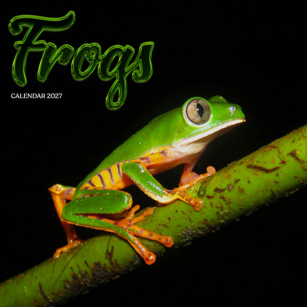 Frogs Calendar 2027: Pond Frogs and Leafy Days baixar o livro de graça