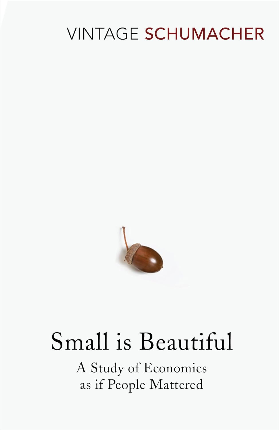 Small Is Beautiful: A Study of Economics as if People Mattered baixar o livro de graça