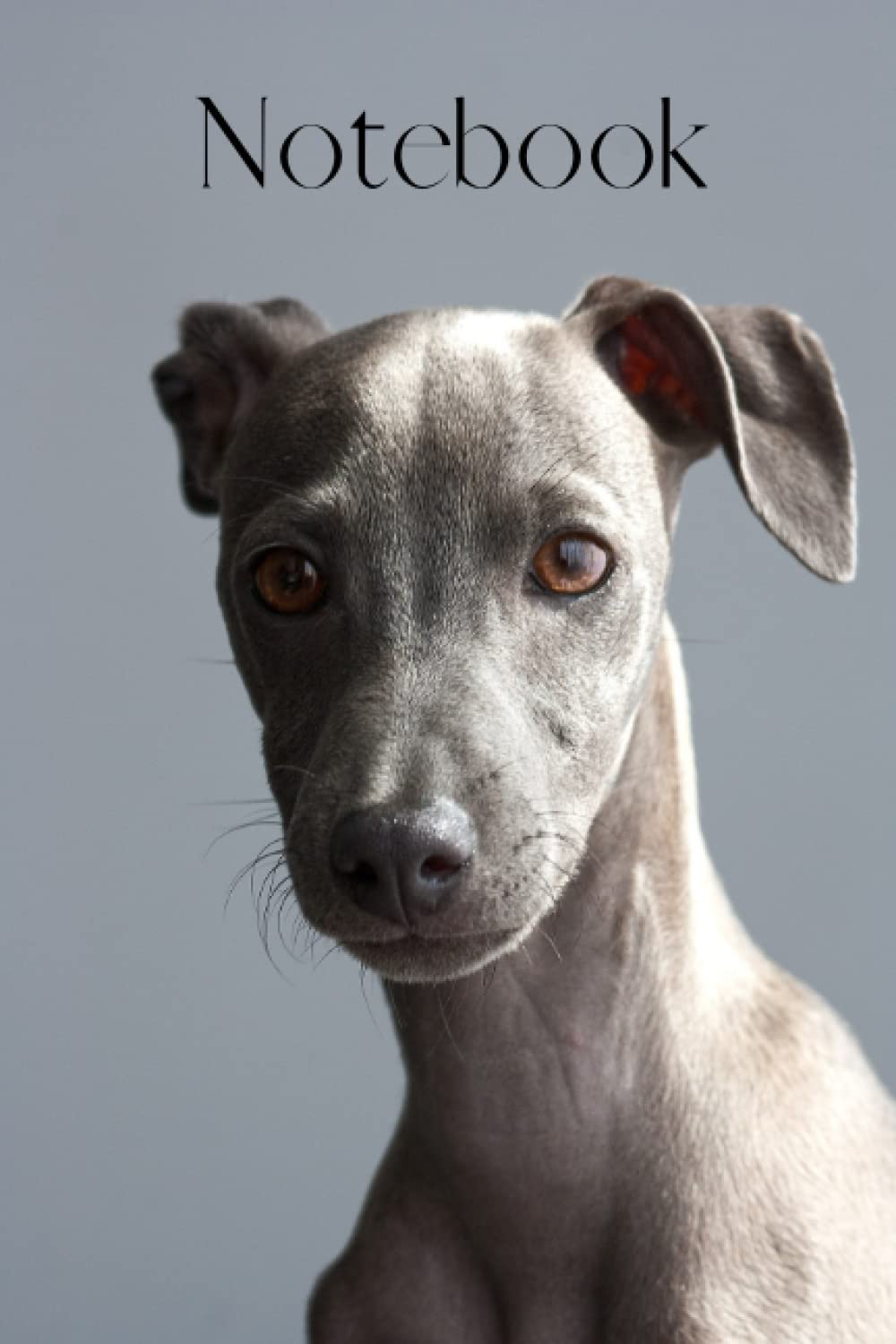 capítulo por capítulo baixar Notebook: Greyhound Dog Puppy, Blank Lined Notebook