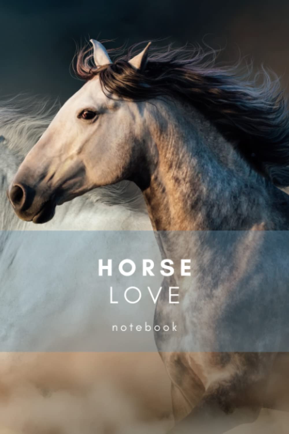 Horse Love Notebook: A very nice notebook for owners and fans of horses | Equestrian training notebook | Notebook for a horse rider and lover baixar o livro de graça
