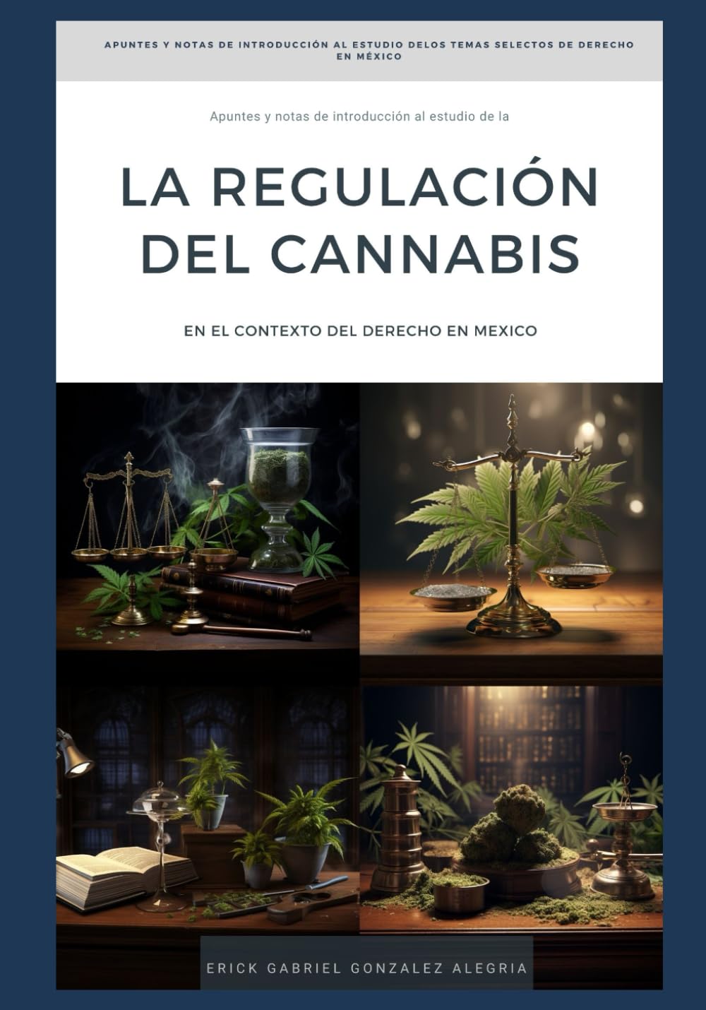 "Apuntes y Notas de Introducción al Estudio de LA REGULACIÓN DEL CANNABIS EN MÉXICO" ("Apuntes y Notas de Introducción al Estudio de LOS TEMAS SELECTOS DE DERECHO EN MÉXICO") (Spanish Edition) baixar livro de graça