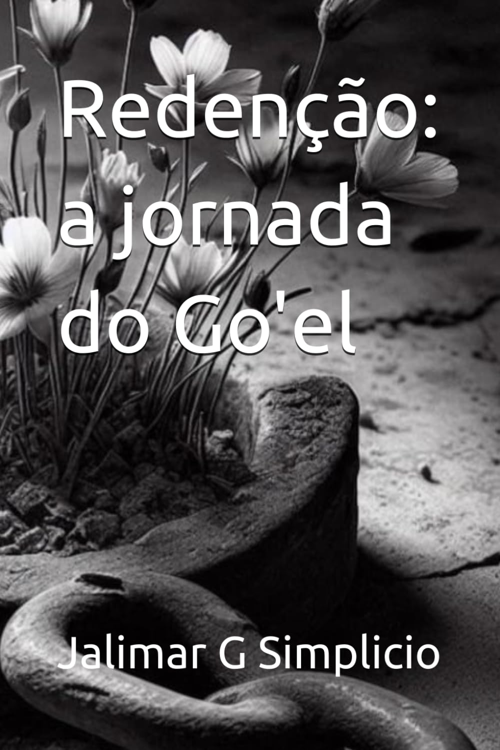 Redenção: a jornada do Go'el (Portuguese Edition) baixar o livro de graça