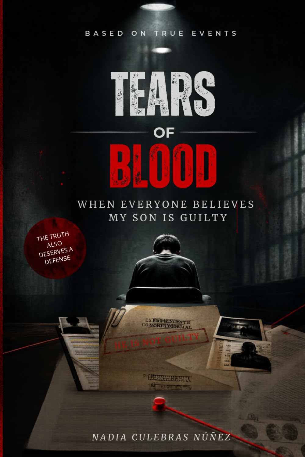 capítulo por capítulo baixar Tears of Blood: When Everyone Thinks My Son Is Guilty