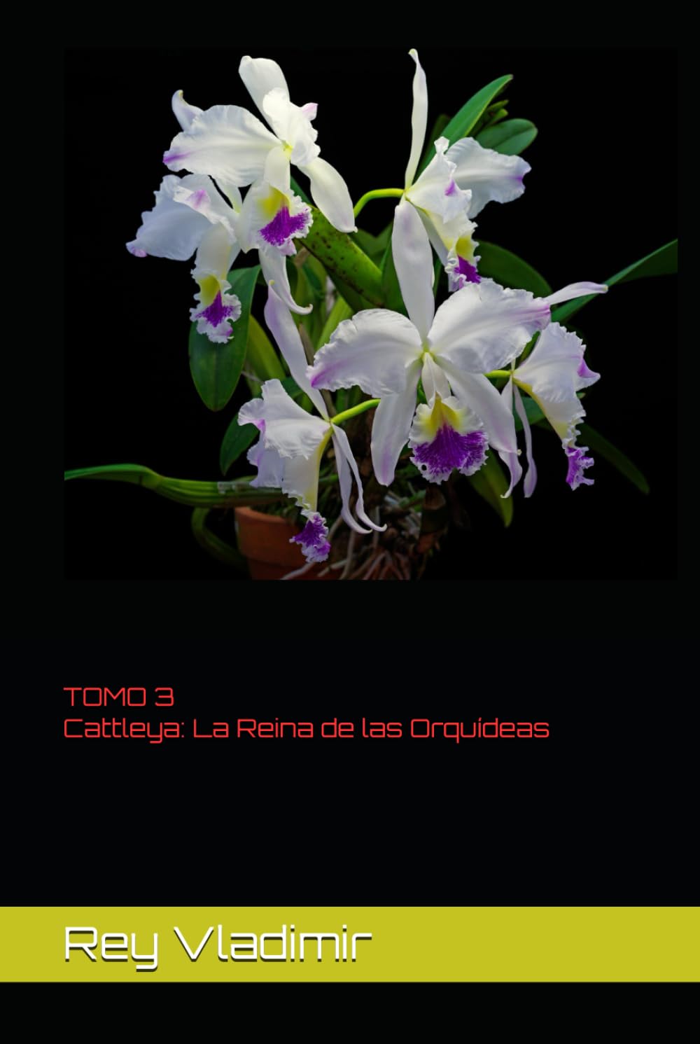 ler totalmente Cattleya: La Reina de las Orquídeas (Spanish Edition)