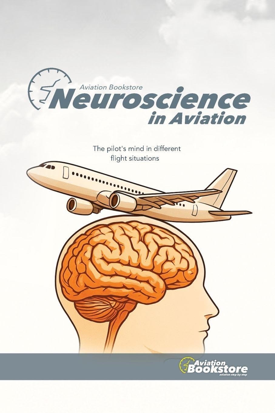 Neuroscience in aviation baixar o livro de graça
