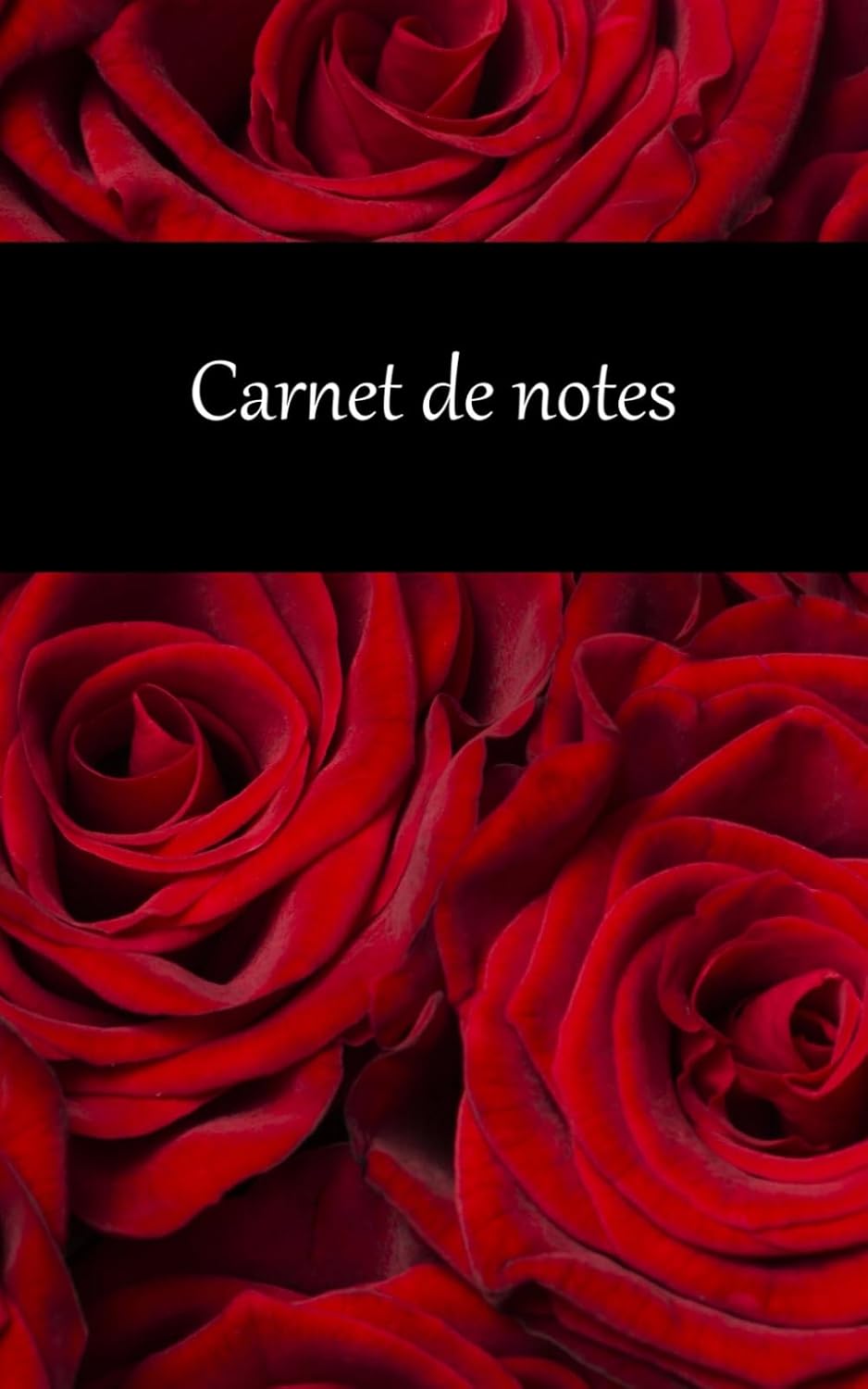 ler totalmente Carnet de notes 150 pages (12,7 cm x 20,32 cm) (5x8po) (French Edition)