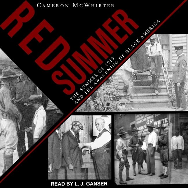Red Summer: The Summer of 1919 and the Awakening of Black America baixar livro de graça