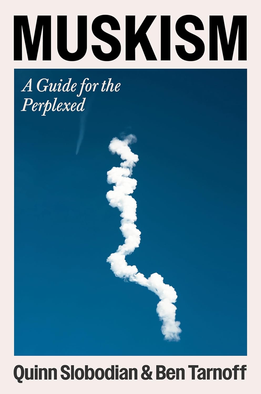 Muskism: A Guide for the Perplexed (English Edition) baixar livro de graça
