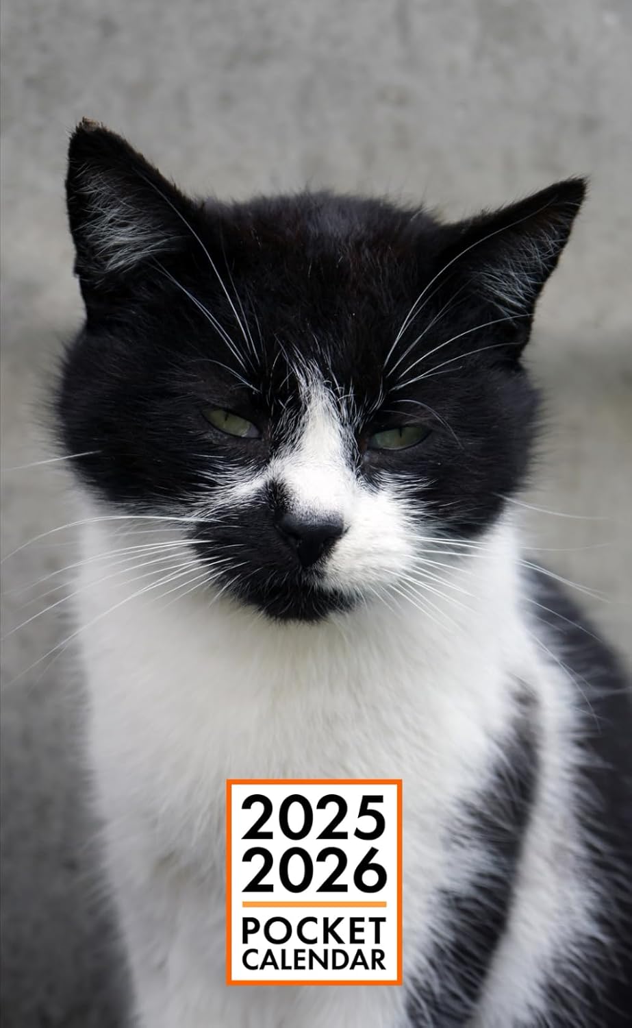ler totalmente Pocket Calendar 2025-2026 for Purse - Black White Cat v2 | 2 Year Pocket Planner January 2025 - December 2026 | Small Pocket Size 4 x 6.5 | Sketches of Cats in the Middle