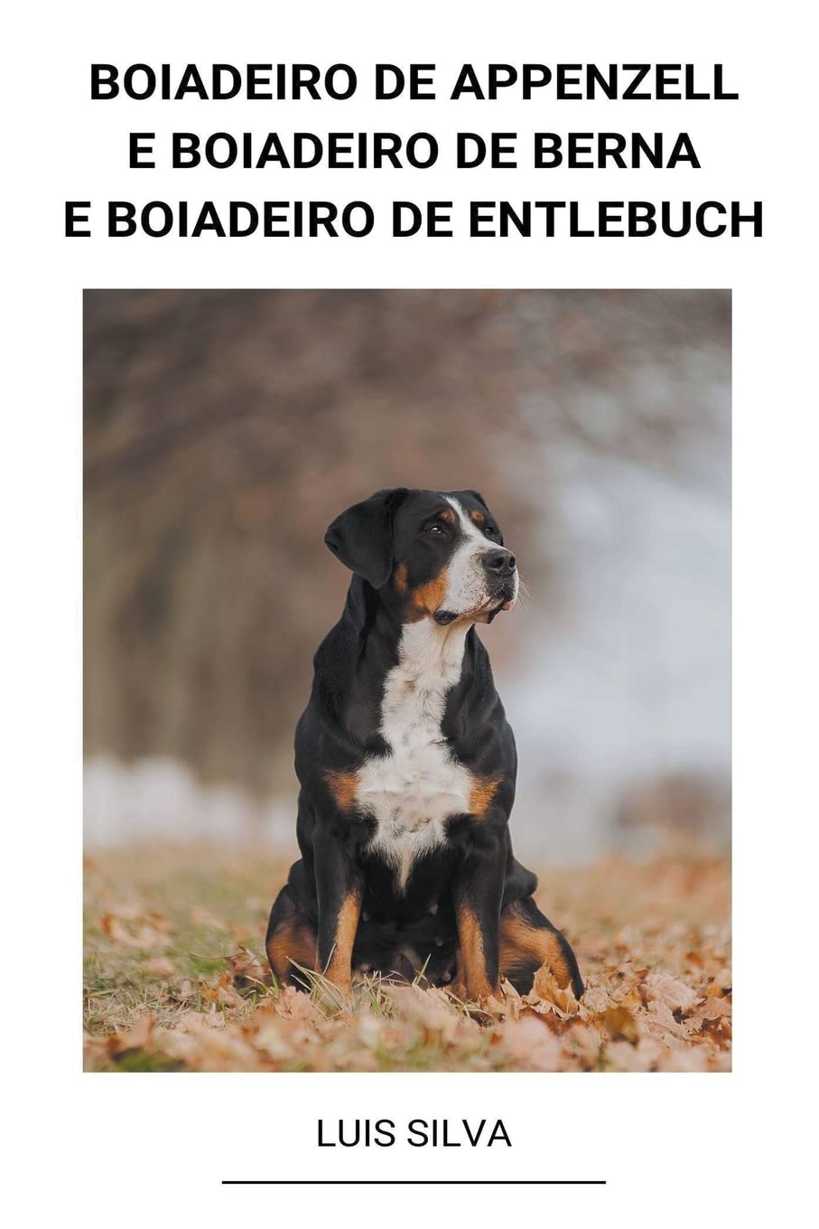 ler totalmente Boiadeiro de Appenzell e Boiadeiro de Berna e Boiadeiro de Entlebuch