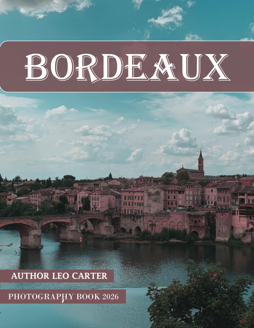 Bordeaux: A Collection of 40 Scenic Photographs Showcasing the Bordeaux baixar livro de graça