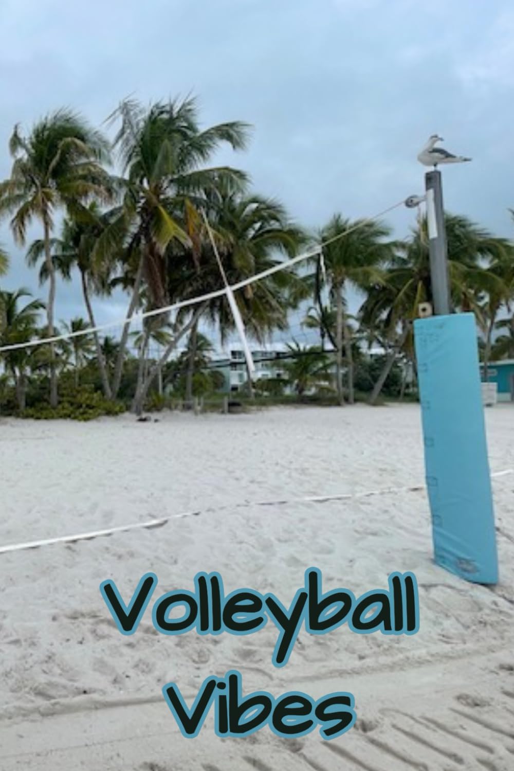 Volleyball Vibes: A Volleyball Themed Journal | Blank | 120 pages | Watermarked volleyballs on every page