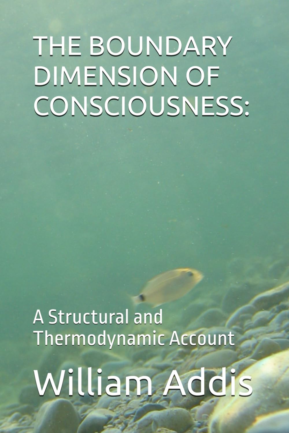 THE BOUNDARY DIMENSION OF CONSCIOUSNESS:: A Structural and Thermodynamic Account