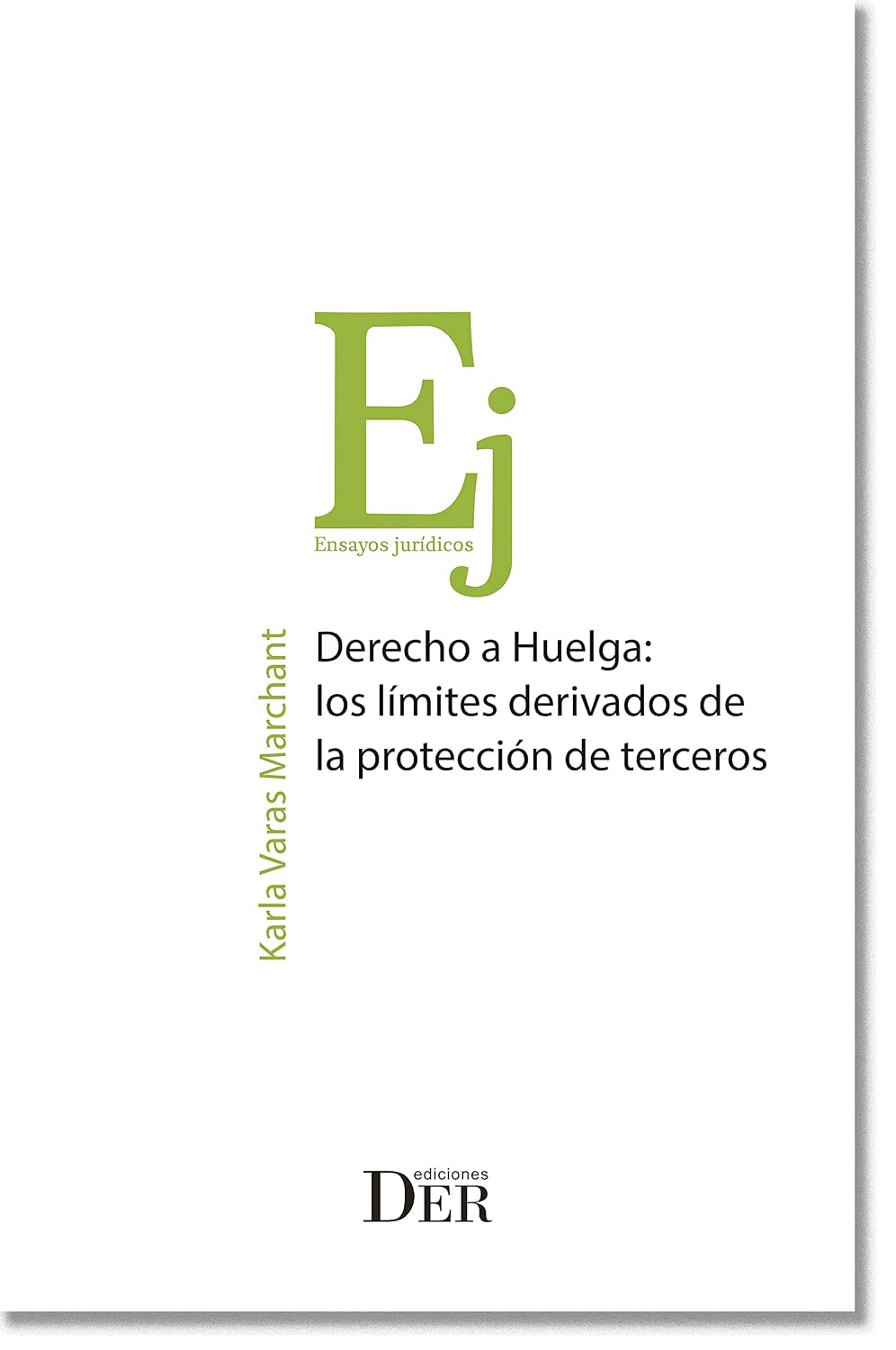 Derecho a Huelga: Los límites derivados de la protección de terceros (Spanish Edition) baixar o livro de graça