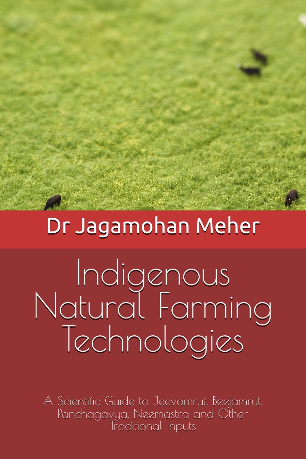 capítulo por capítulo baixar Indigenous Natural Farming Technologies: A Scientific Guide to Jeevamrut, Beejamrut, Panchagavya, Neemastra and Other Traditional Inputs